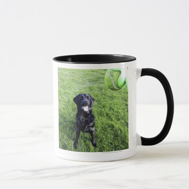 pooley bridge cumbria england mug (Right)