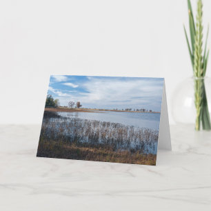 pools and marshes at necedah card