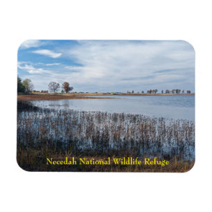 pools and marshes at necedah magnet
