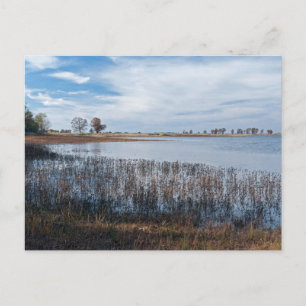 pools and marshes at necedah postcard