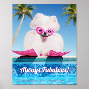 Poolside Dog In Flippers Poster