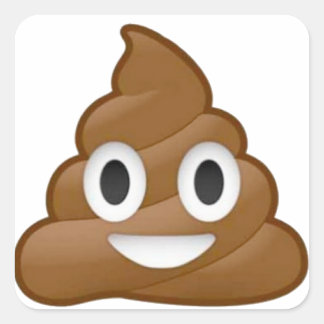 Poop emoji square sticker