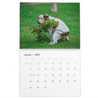 Pooping Dogs Calendar 2023, Funny Dogs