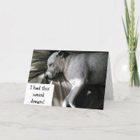 POOR DOG HAD A NIGHTMARE "YOUR TURNED 30!"