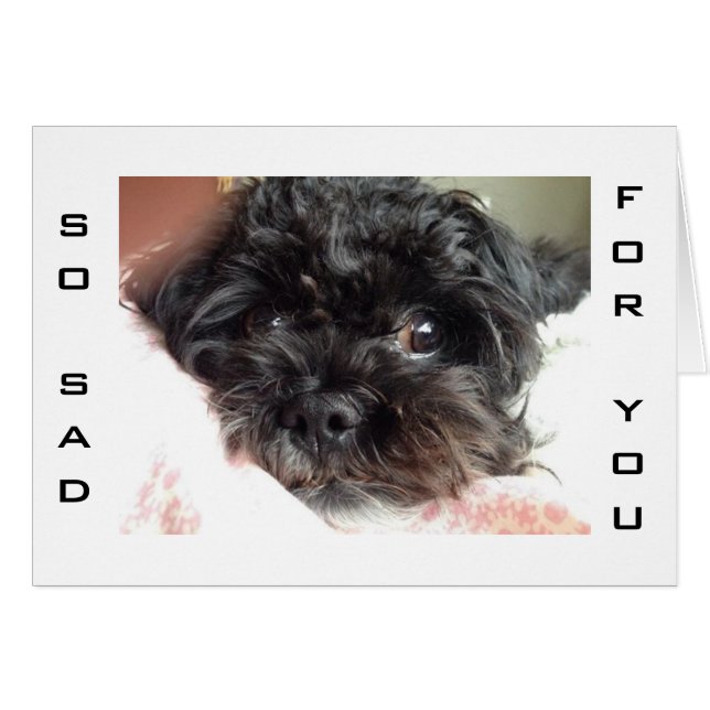 POOR DOG IS SO SAD U R TURNING 40 (Front Horizontal)