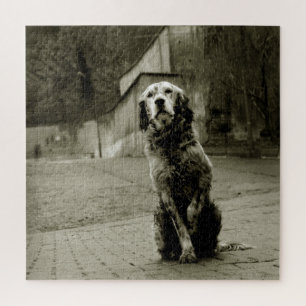 Poor Dog Waiting Jigsaw Puzzle