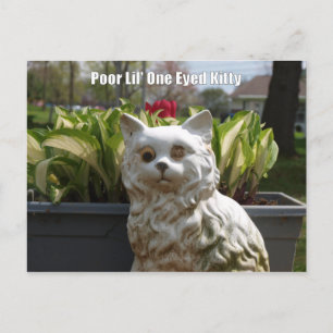 Poor Lil' One Eyed Kitty Postcard