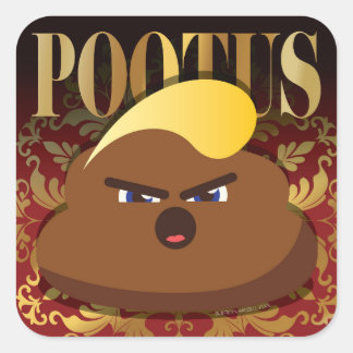 POOTUS SQUARE STICKER