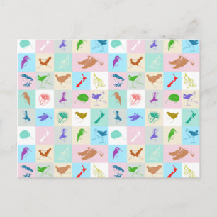 Pop art bird pattern postcard