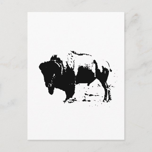 Pop Art Black & White Buffalo Silhouette Postcard (Front)