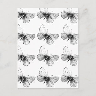 Pop Art Butterfly Postcard