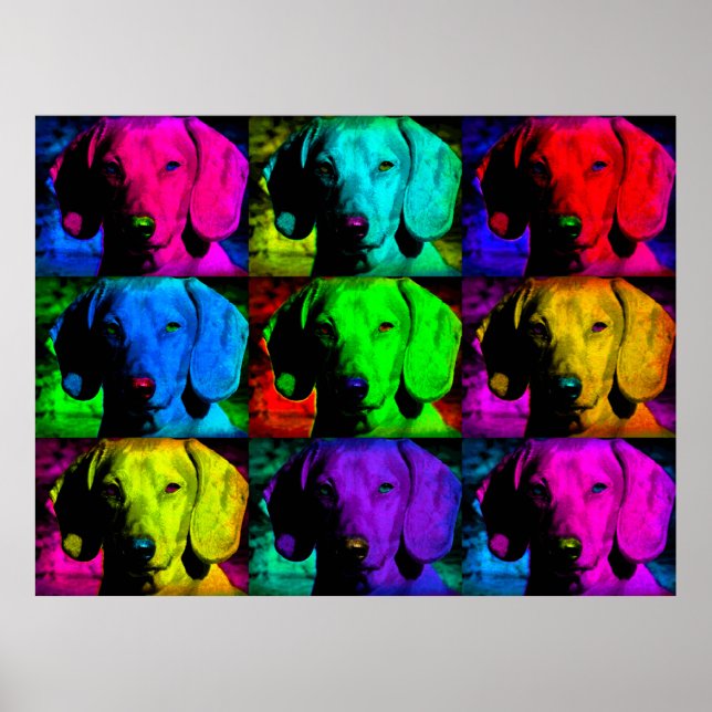 Pop Art Dachshund Doxie Sweet Face Soulful Eyes Poster (Front)