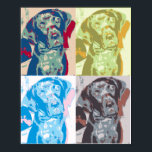 Pop Art Dog Poster<br><div class="desc">A poster of my dog Ruger in pop art style.</div>