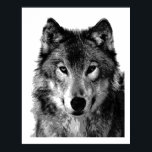 Pop Art Gray Wolf Face Poster Print<br><div class="desc">Wild Animal Digital Artworks,  Paintings,  Pictures and Images</div>