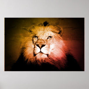 Pop Art Lion - Wild Animal Photography Poster