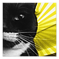 Pop Art Lucy Closeup
