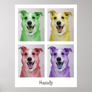 Pop Art Sandy Poster