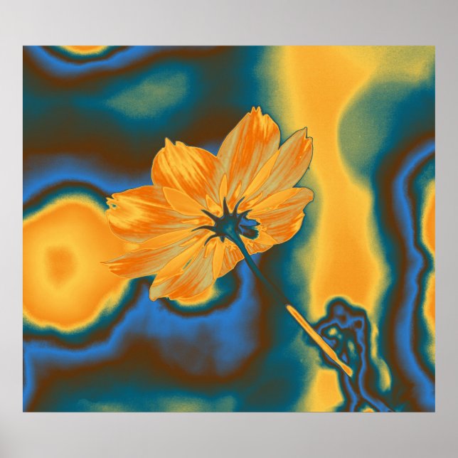 Pop Art Yellow Cosmos Flower Poster (Front)