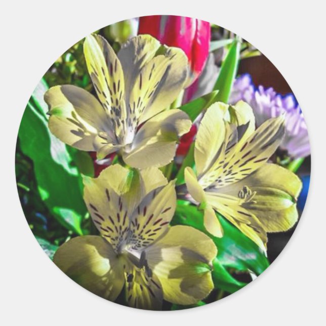 Pop Colour Flowers Sticker (Front)