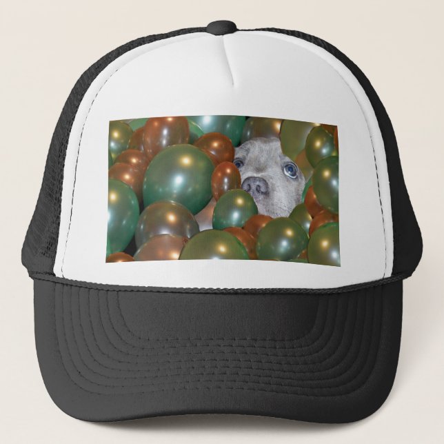 Pop Fest: Funny Staffy Puppy In The Balloons, Trucker Hat (Front)