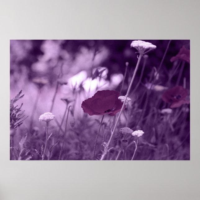 pop-i purple  print (Front)