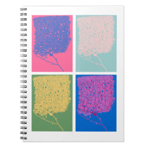 Pop Neuroscience Notebook