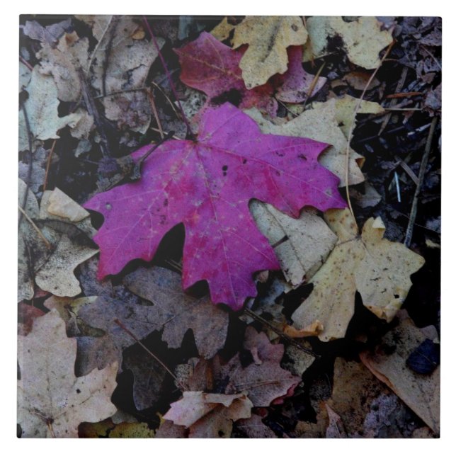 Pop of pink foliage ceramic tile (Front)