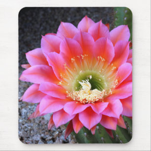 Pop of pink mouse pad