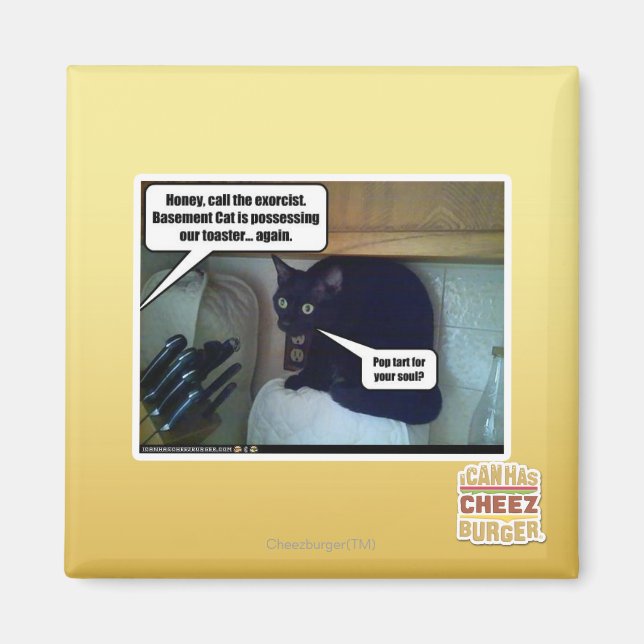 Pop tart for your soul? magnet (Front)