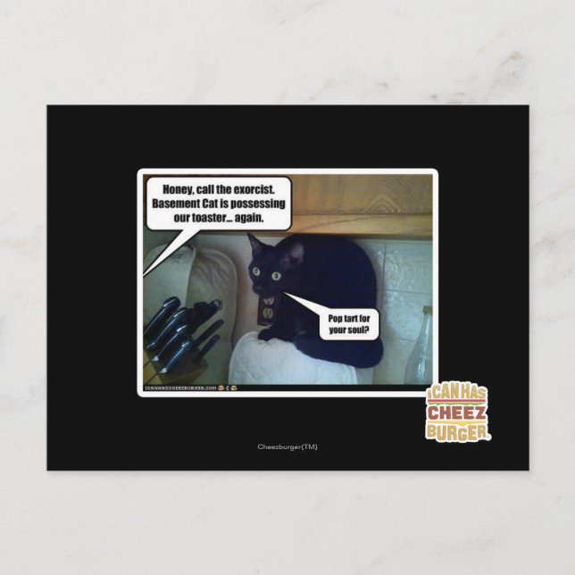 Pop tart for your soul? postcard (Front)