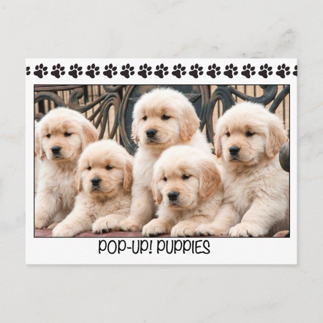 Pop-Up! Puppies Postcard (Front)