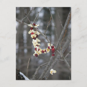 Popcorn and Cranberries Garland Postcard