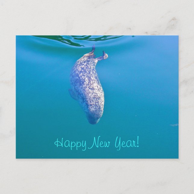 Popeye the Seal Happy New Year Postcards (Front)
