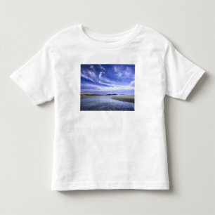 POPHAM BEACH STATE PARK, MAINE. USA. Cirrus Toddler T-Shirt