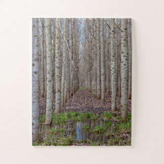 Poplar Grove Jigsaw Puzzle