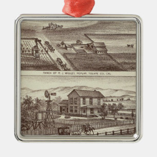 Poplar ranches metal ornament