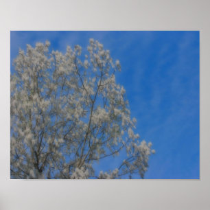 Poplar Tree Fluff Snow In June Orton Nature Art Poster