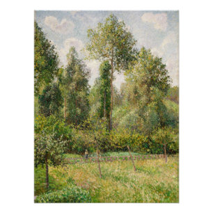 Poplars, Éragny Camille Pissarro Poster