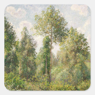 Poplars, Éragny Camille Pissarro Square Sticker