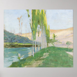 Poplars Growing near a Watercourse Poster