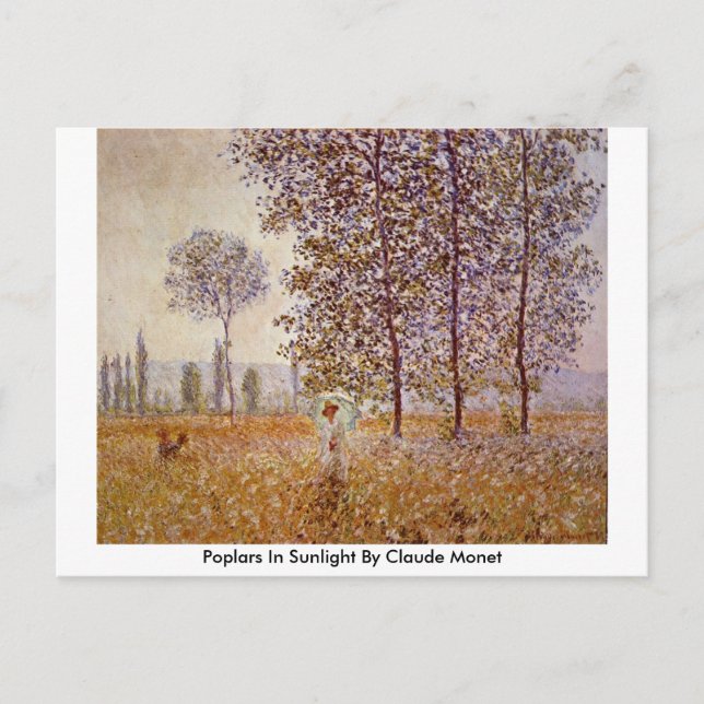 Poplars In Sunlight By Claude Monet Postcard (Front)