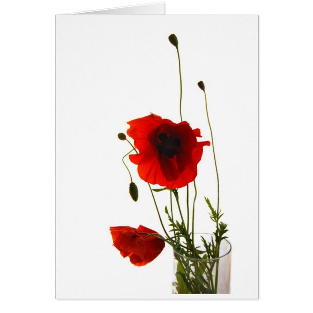 Poppies (Front)