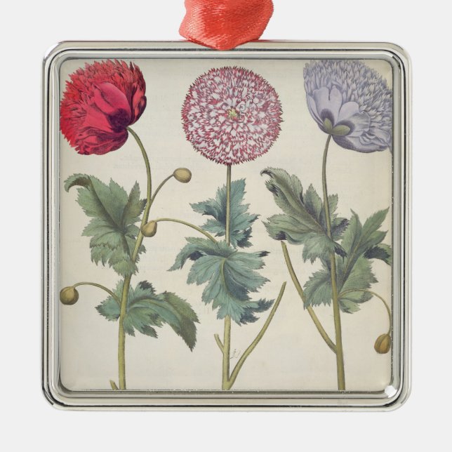 Poppies: 1.Papaver multiplex albumoris rubicundis; Metal Ornament (Front)