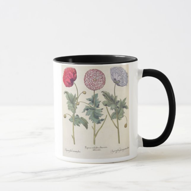 Poppies: 1.Papaver multiplex albumoris rubicundis; Mug (Right)