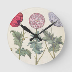 Poppies: 1.Papaver multiplex albumoris rubicundis; Round Clock