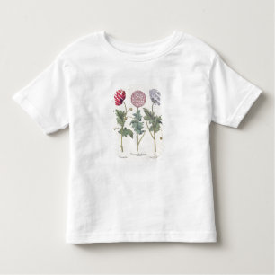 Poppies: 1.Papaver multiplex albumoris rubicundis; Toddler T-Shirt