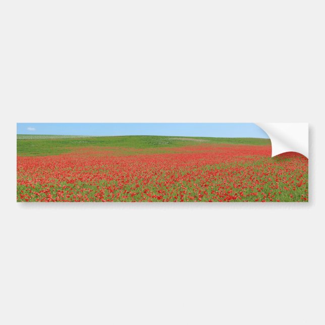 Poppies alive! bumper sticker (Front)