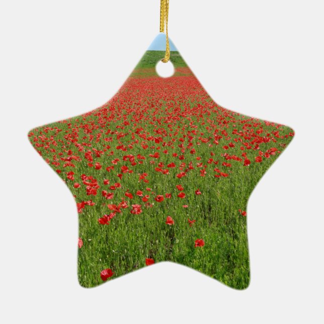 Poppies alive! ceramic ornament (Back)