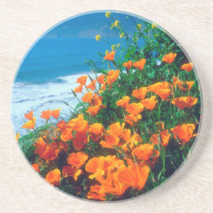 Poppies along the Pacific Coast near Big Sur Coaster