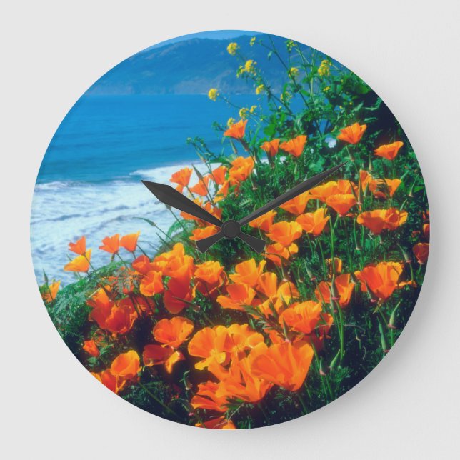 Poppies along the Pacific Coast near Big Sur Large Clock (Front)